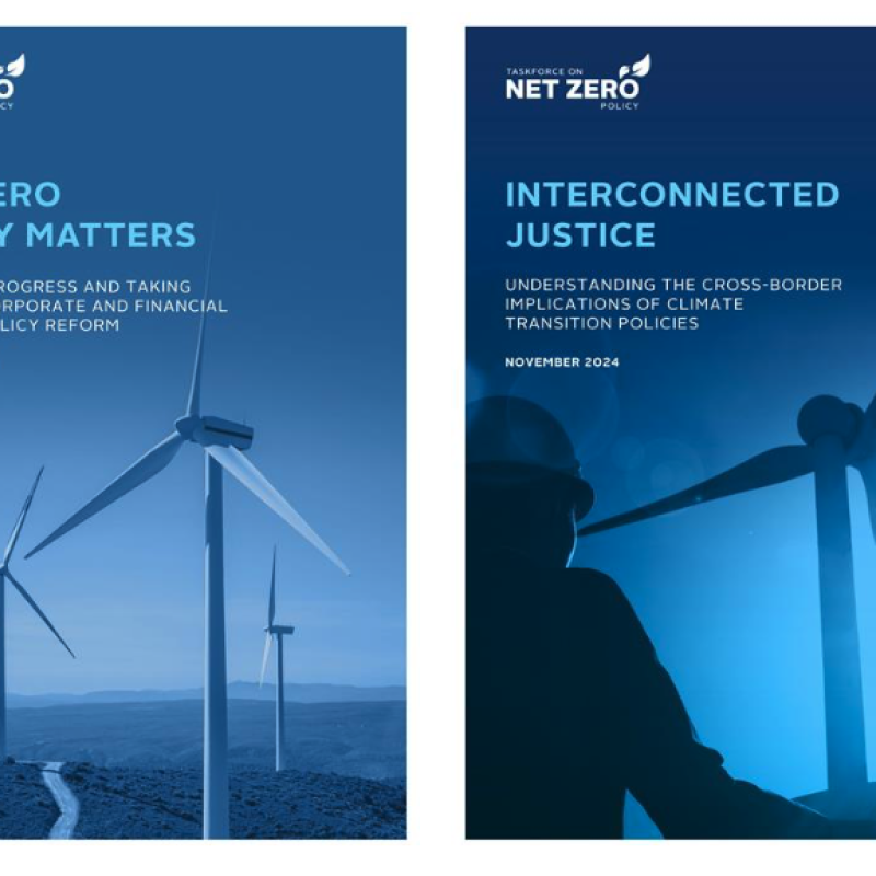 Covers of the net zero taskforce reports